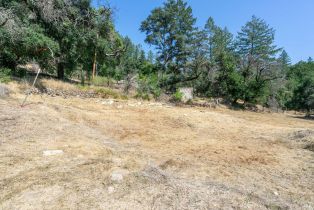 Residential Lot,  St Helena road, Santa Rosa, CA 95404 - 21