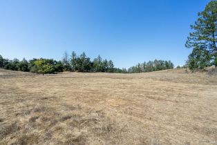 Residential Lot,  St Helena road, Santa Rosa, CA 95404 - 50