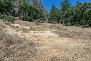 Residential Lot,  St Helena road, Santa Rosa, CA 95404 - 8