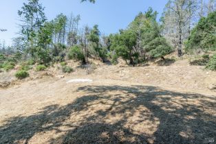 Residential Lot,  St Helena road, Santa Rosa, CA 95404 - 16