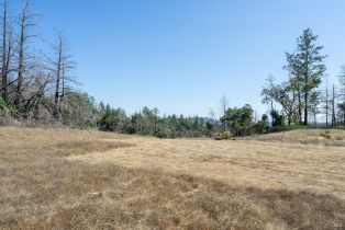 Residential Lot,  St Helena road, Santa Rosa, CA 95404 - 42