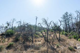 Residential Lot,  St Helena road, Santa Rosa, CA 95404 - 55