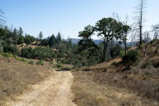 Residential Lot,  St Helena road, Santa Rosa, CA 95404 - 54