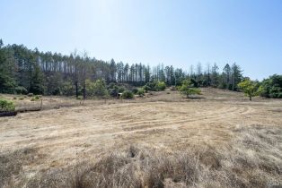 Residential Lot,  St Helena road, Santa Rosa, CA 95404 - 44