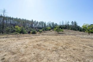 Residential Lot,  St Helena road, Santa Rosa, CA 95404 - 48
