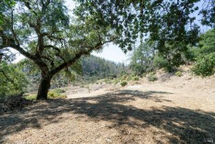 Residential Lot,  St Helena road, Santa Rosa, CA 95404 - 18