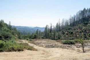 Residential Lot,  St Helena road, Santa Rosa, CA 95404 - 5