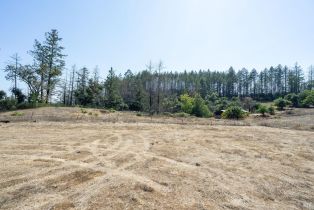 Residential Lot,  St Helena road, Santa Rosa, CA 95404 - 43