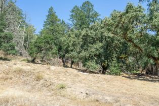 Residential Lot,  St Helena road, Santa Rosa, CA 95404 - 11