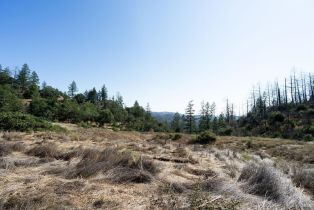 Residential Lot,  St Helena road, Santa Rosa, CA 95404 - 57