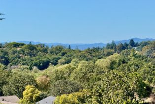 Single Family Residence,  Rancho Cabeza drive, Santa Rosa, CA 95404 - 7