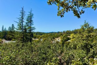 Single Family Residence,  Rancho Cabeza drive, Santa Rosa, CA 95404 - 6