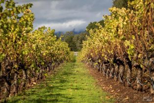 Single Family Residence,  Barcelona drive, Sonoma, CA 95476 - 52