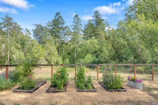 Single Family Residence,  Burnside road, Sebastopol, CA 95472 - 29