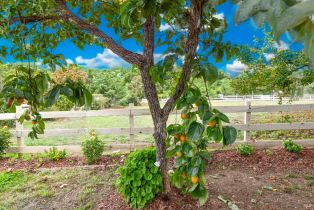 Single Family Residence,  Hagen road, Napa, CA 94558 - 54