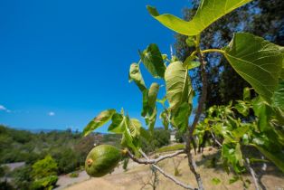 Residential Lot,  Vista Grande drive, Santa Rosa, CA 95403 - 30