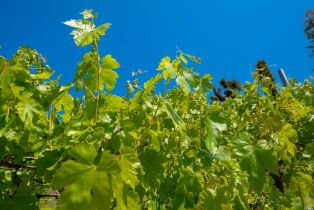 Residential Lot,  Vista Grande drive, Santa Rosa, CA 95403 - 10