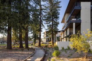 Condominium,  Sawmill circle, Healdsburg, CA 95448 - 15