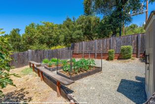 Single Family Residence,  Warm Springs road, Glen Ellen, CA 95442 - 44