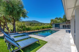 Single Family Residence,  Warm Springs road, Glen Ellen, CA 95442 - 2