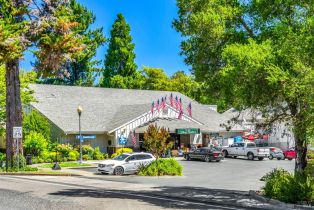 Single Family Residence,  Warm Springs road, Glen Ellen, CA 95442 - 48