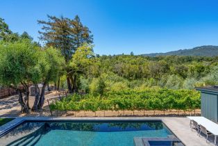 Single Family Residence,  Warm Springs road, Glen Ellen, CA 95442 - 17