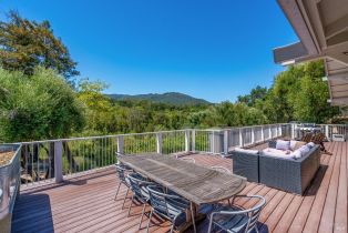 Single Family Residence,  Warm Springs road, Glen Ellen, CA 95442 - 18