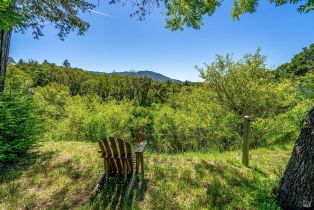 Single Family Residence,  Warm Springs road, Glen Ellen, CA 95442 - 43