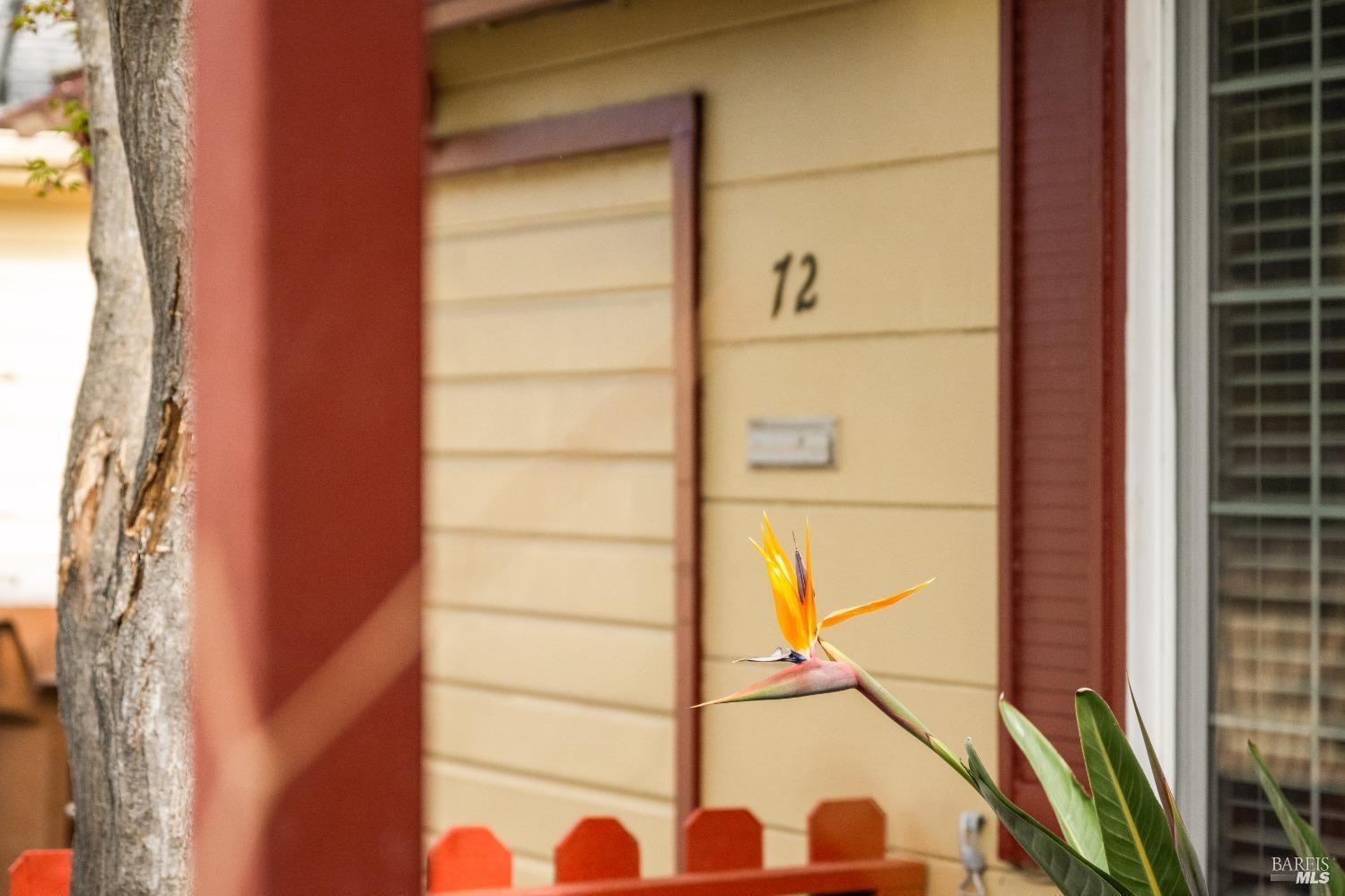 Single Family Residence, Bellevue avenue, Napa, CA 94558 - 1