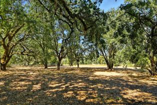 Single Family Residence, Olivet road, Santa Rosa, CA 95401 - 43