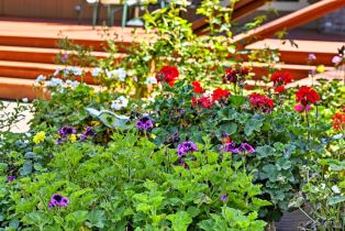 Single Family Residence, Olivet road, Santa Rosa, CA 95401 - 40