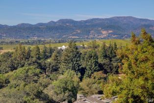 Residential Lot,  Castle Oaks drive, Napa, CA 94558 - 29