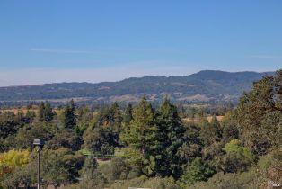 Residential Lot,  Castle Oaks drive, Napa, CA 94558 - 30