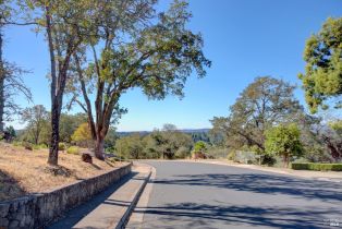 Residential Lot,  Castle Oaks drive, Napa, CA 94558 - 19