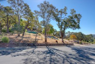 Residential Lot,  Castle Oaks drive, Napa, CA 94558 - 21