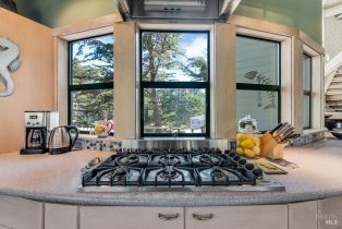 Single Family Residence,  Bay Flat road, Bodega Bay, CA 94923 - 17