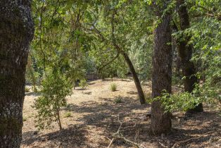 Single Family Residence, Keyes avenue, Angwin, CA 94508 - 42