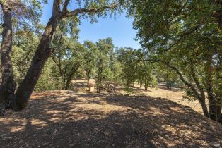 Single Family Residence, Keyes avenue, Angwin, CA 94508 - 39