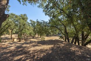 Single Family Residence, Keyes avenue, Angwin, CA 94508 - 41