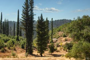 Single Family Residence,  Mill Creek road, Healdsburg, CA 95448 - 22