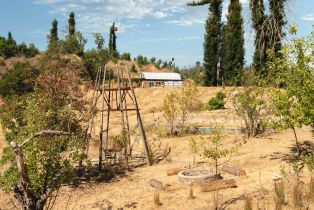 Single Family Residence,  Mill Creek road, Healdsburg, CA 95448 - 18