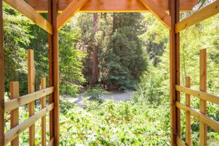 Single Family Residence,  Old Cazadero road, Russian River, CA 95421 - 39