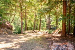 Single Family Residence,  Old Cazadero road, Russian River, CA 95421 - 37