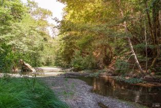 Single Family Residence,  Old Cazadero road, Russian River, CA 95421 - 45