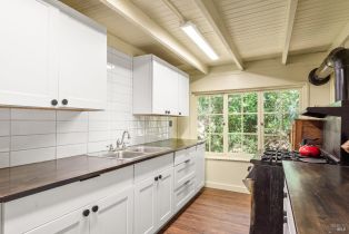 Single Family Residence,  Old Cazadero road, Russian River, CA 95421 - 19