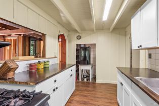 Single Family Residence,  Old Cazadero road, Russian River, CA 95421 - 20