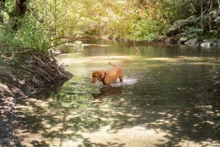 Single Family Residence,  Old Cazadero road, Russian River, CA 95421 - 42