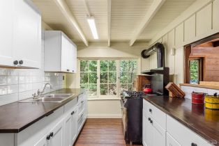 Single Family Residence,  Old Cazadero road, Russian River, CA 95421 - 17