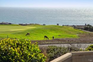 Single Family Residence,  Loon court, Bodega Bay, CA 94923 - 14