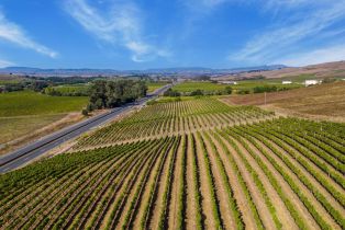 Agriculture,  Jameson Canyon road, Napa, CA 94558 - 25